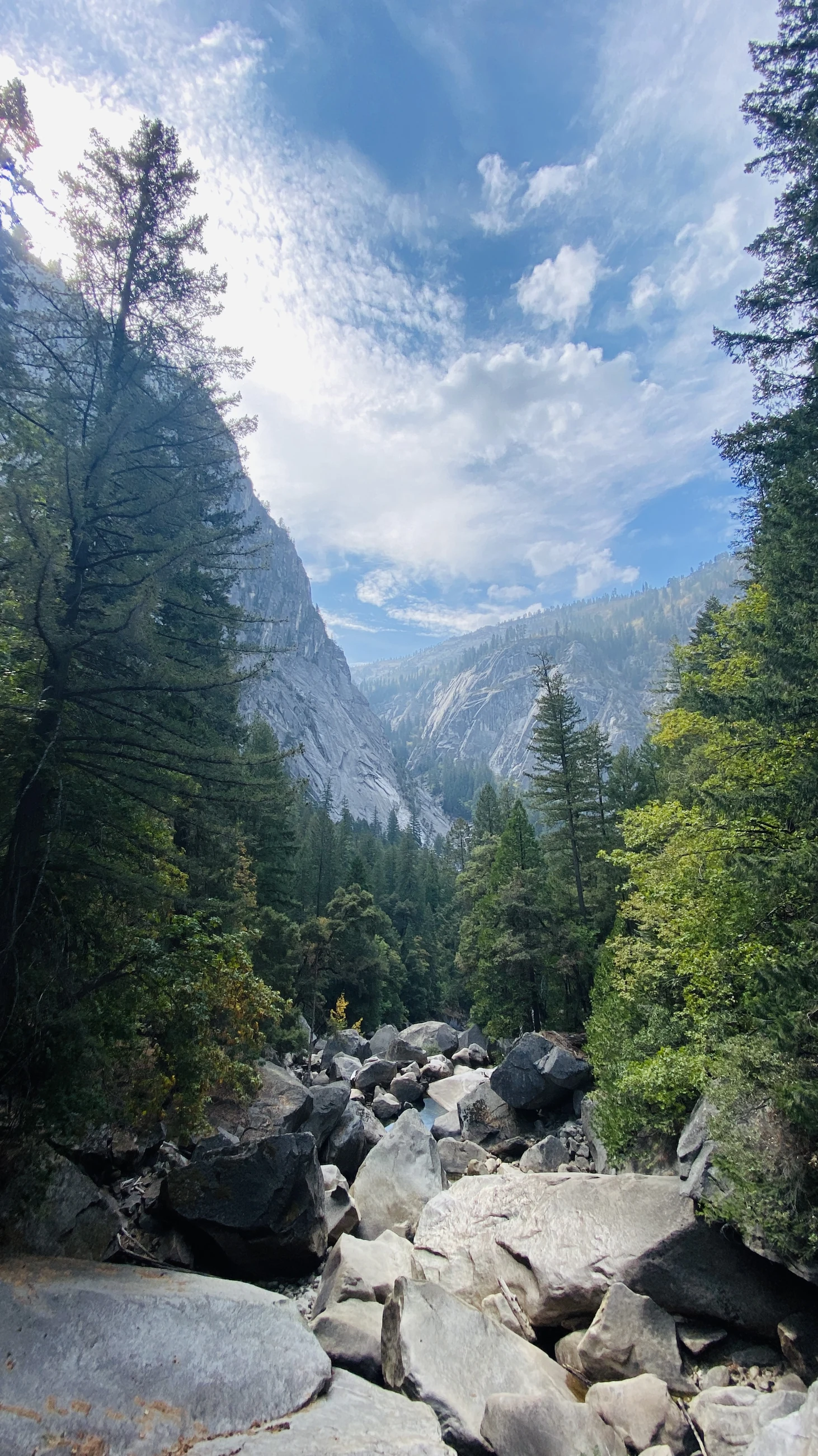 Mountain stream
